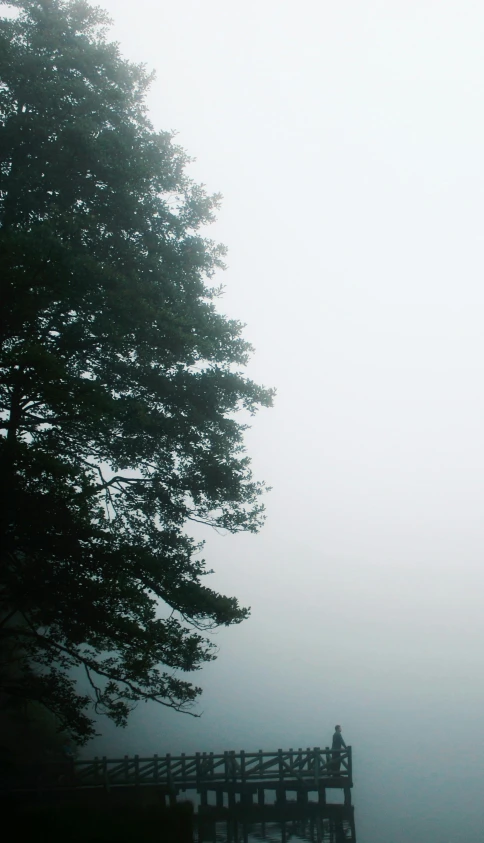 people are standing near a pier and trees in the fog