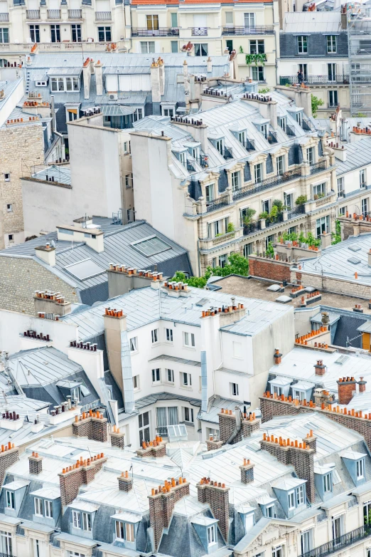 buildings and windows are in a city with roofs