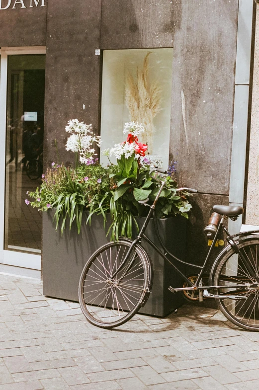 a bike leaning on a building with flower potted plants