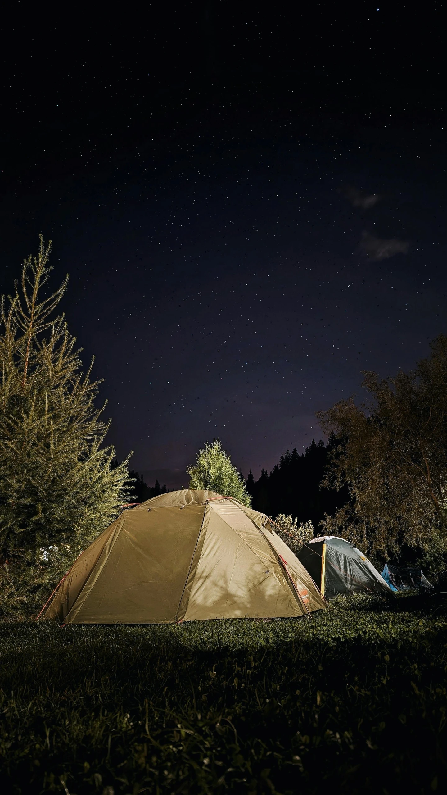 an outdoor camping spot in the woods on a night