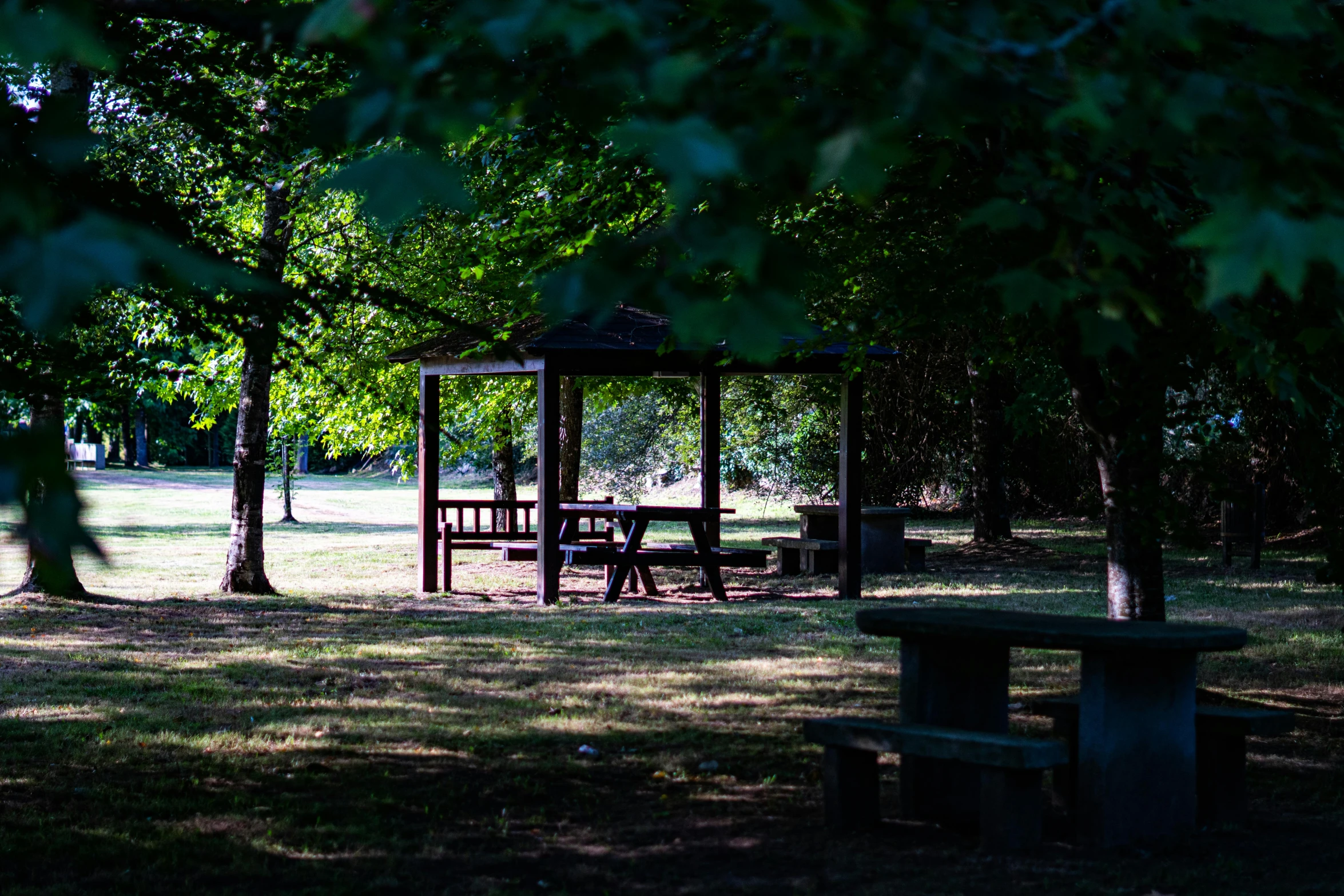 some benches and a table in a park