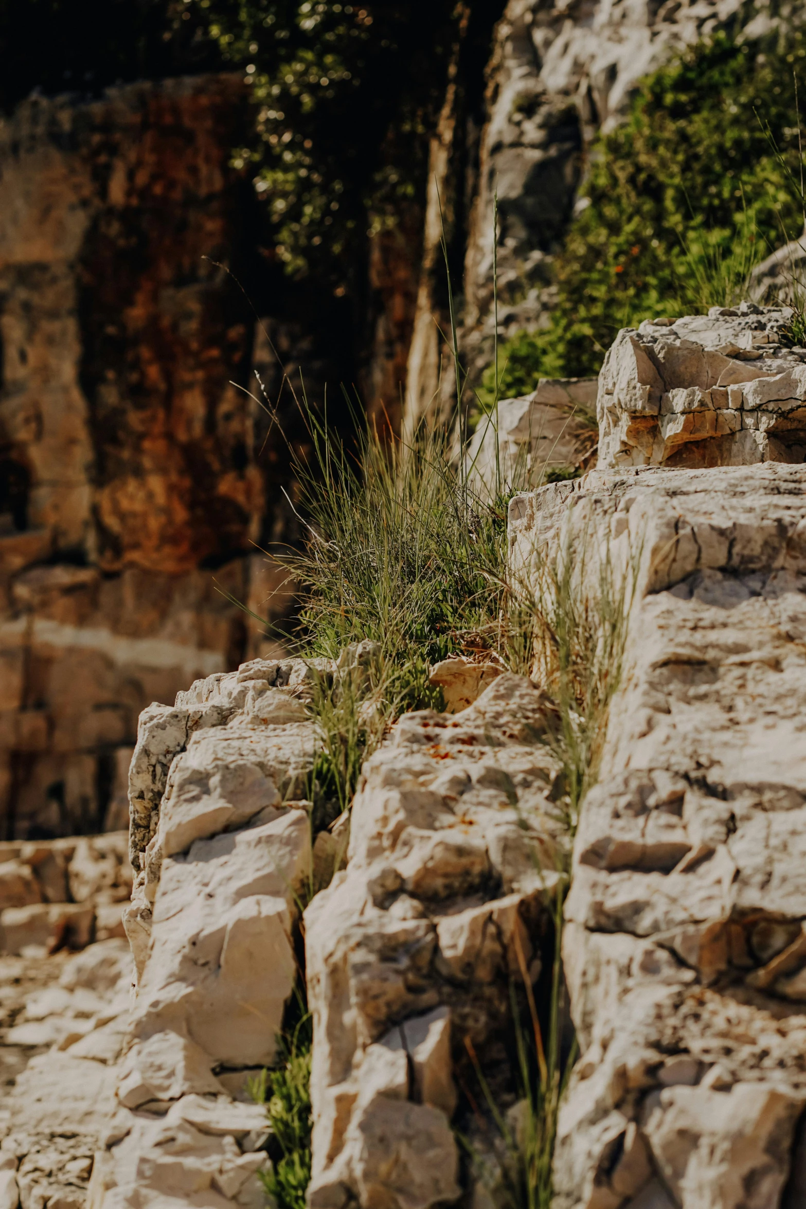 there is a stone wall that has plants in it