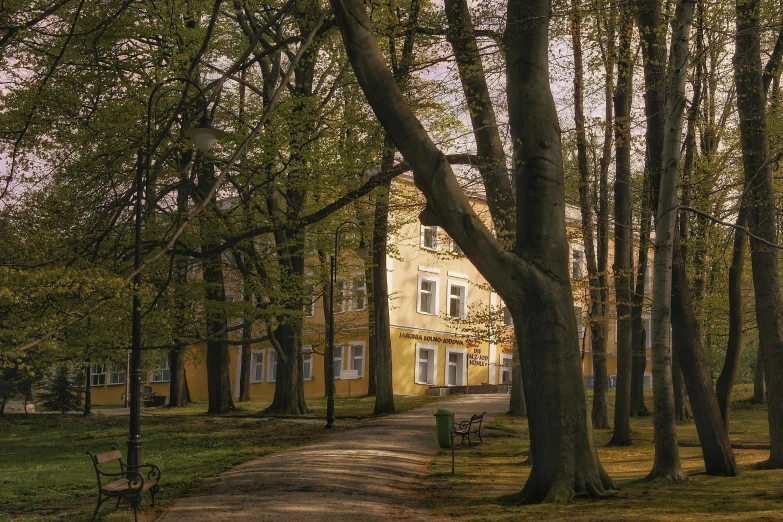 several trees lining a dirt path in front of a yellow building