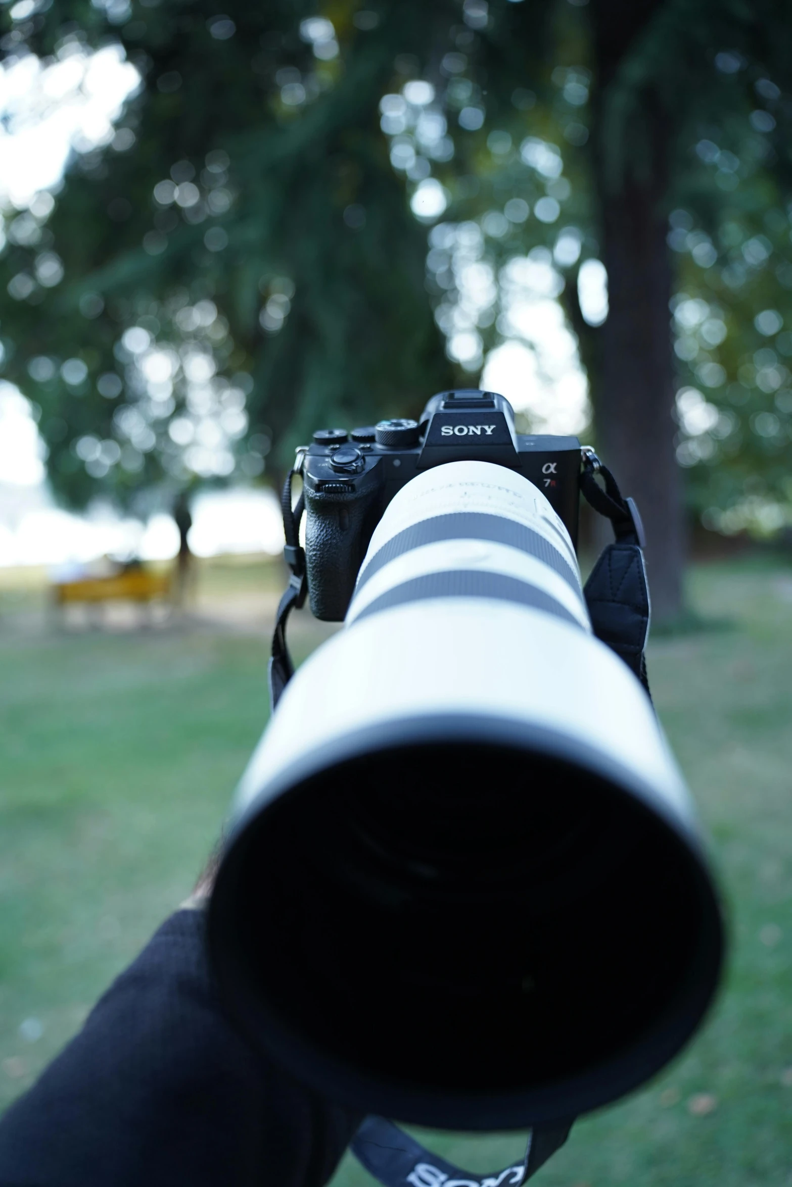 camera taking a pograph from behind a long lens