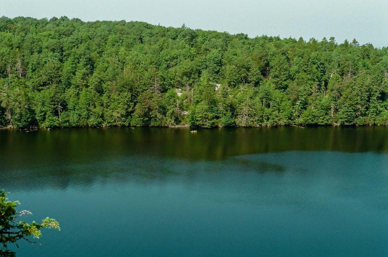 a large body of water surrounded by lush green trees