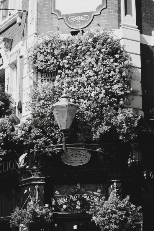 black and white pograph of flowers on an old building