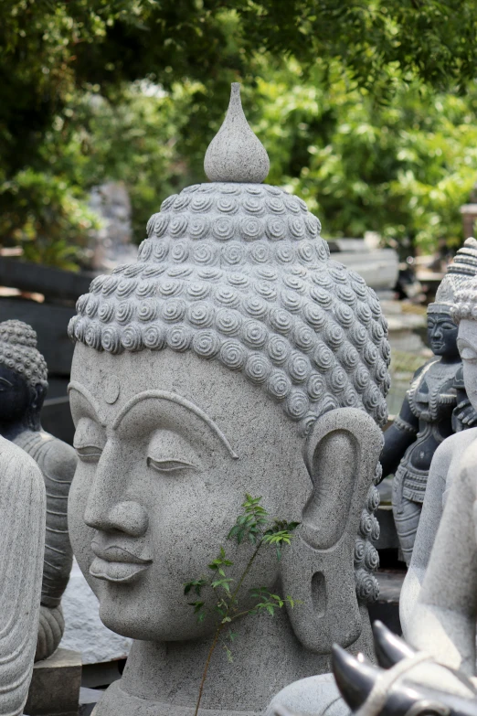 various statues sitting in a row in the sun