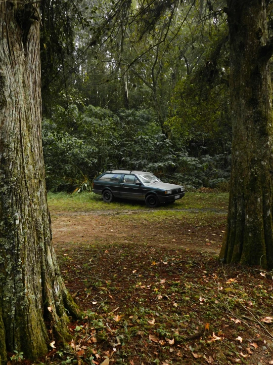 a car parked at the end of a forrest