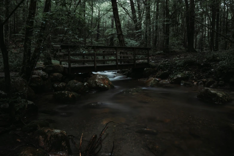 a bridge and stream passing through a wooded area