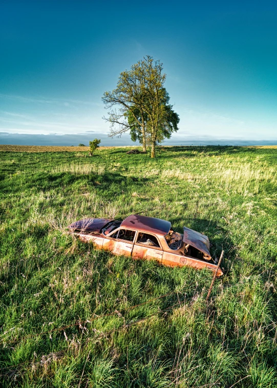 an old car on the ground near a tree