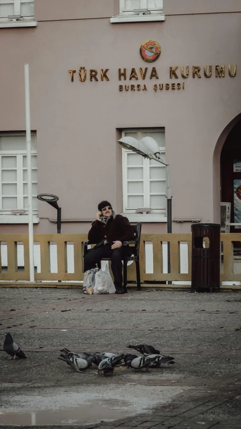 a person sitting on a bench with pigeons in front of the building