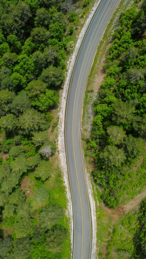 an aerial view of the road going through the trees