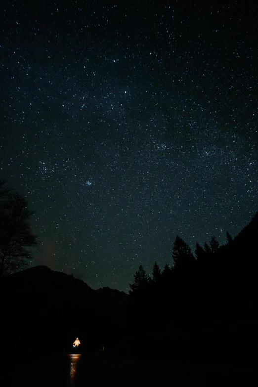 the night sky has stars and many trees