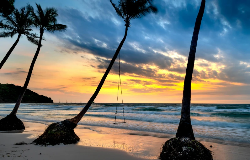 palm trees blowing in the breeze on a beach at sunset