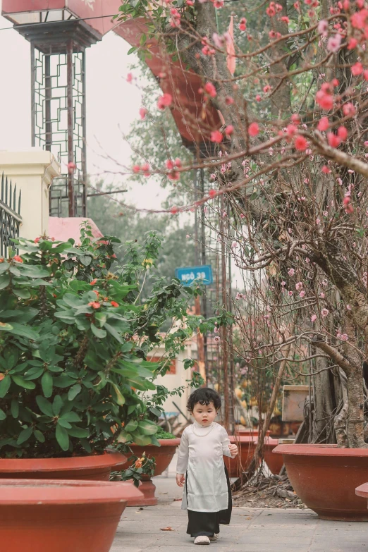 a little boy that is standing near a bunch of potted plants