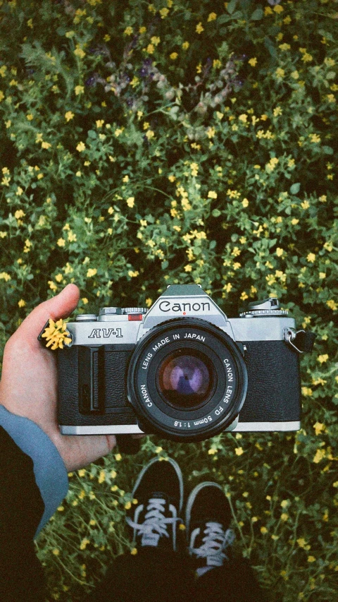 person taking a picture of a camera while standing in the grass