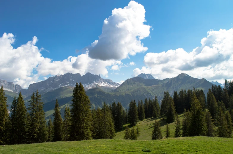 some trees and a hill with a few clouds