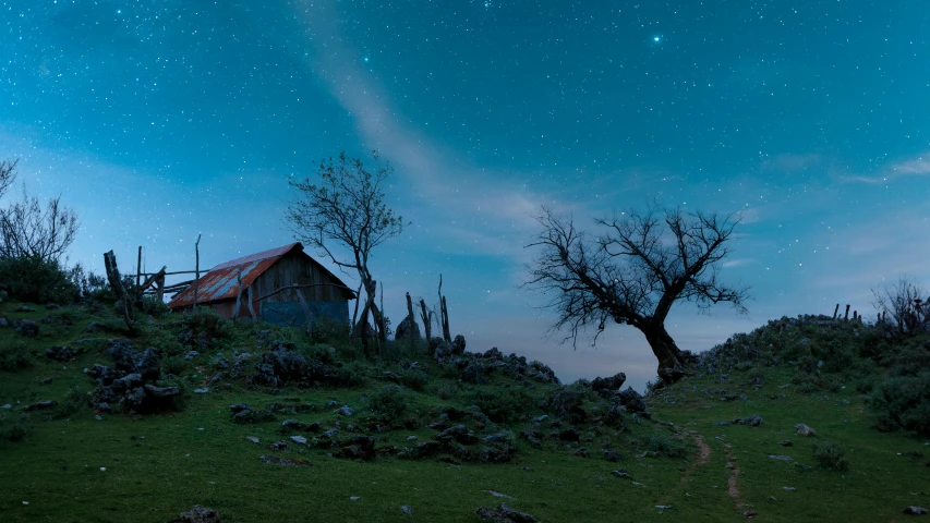 the stars shine brightly above a grassy hillside