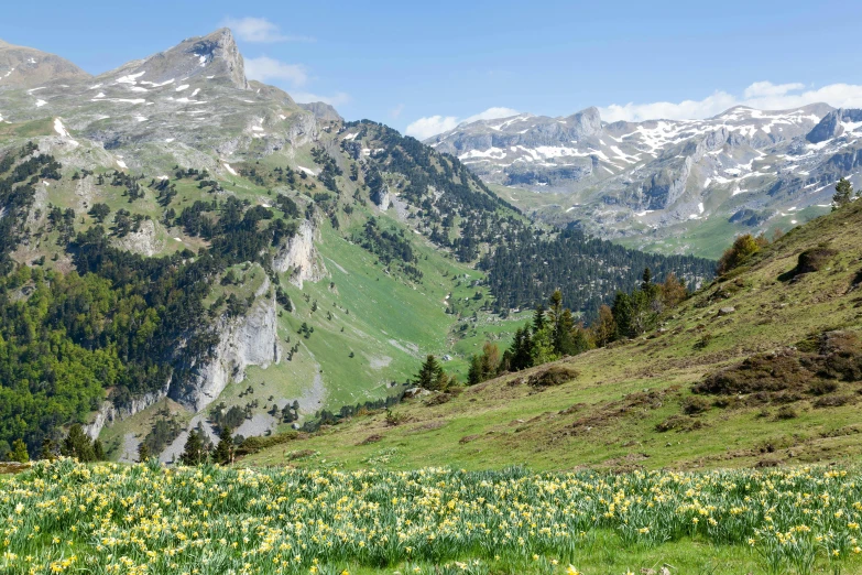 there is a mountain with many snow covered peaks in the back ground