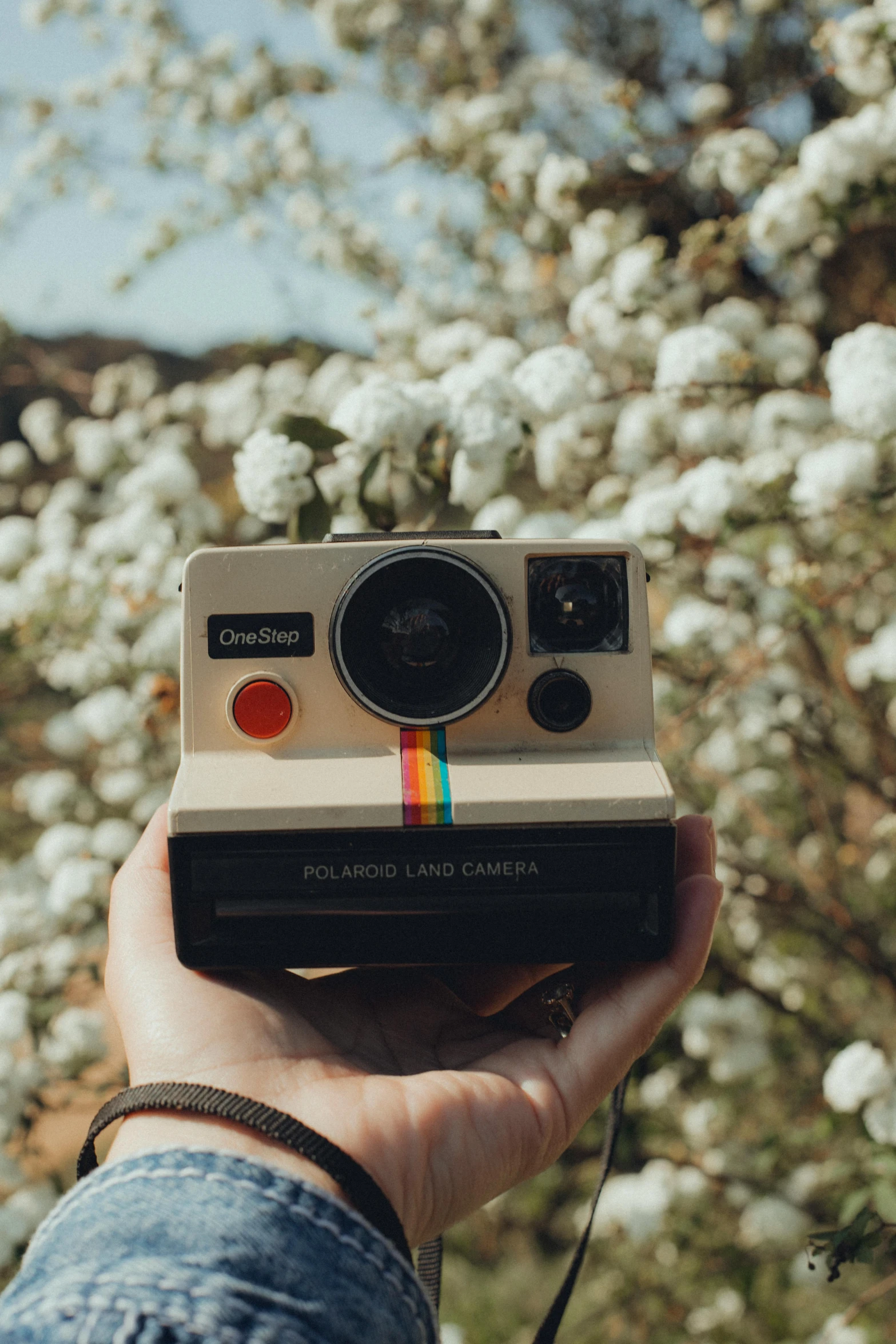 person holding up an instax with flowers on it