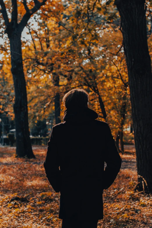 a person walking in a park in the fall