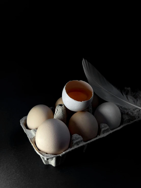 an egg and some quails in a carton