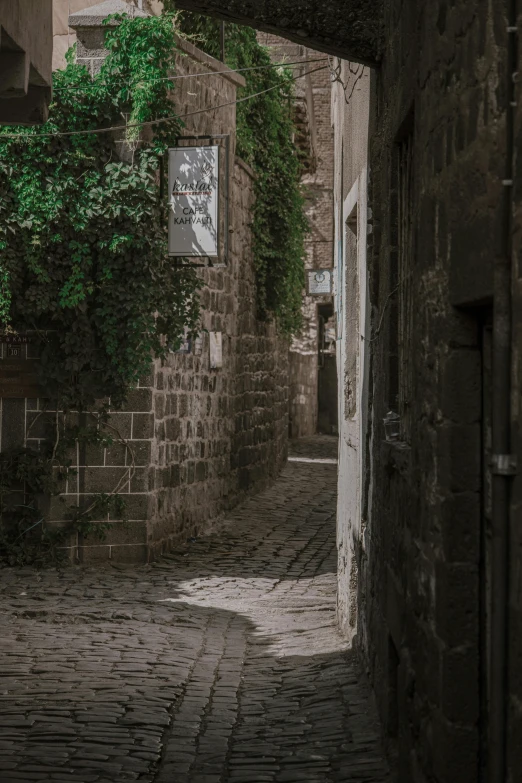 the alley is dark with a small stone building and ivy growing on it