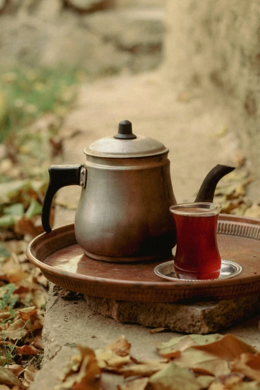 a teapot and a cup are placed on a tray in the woods