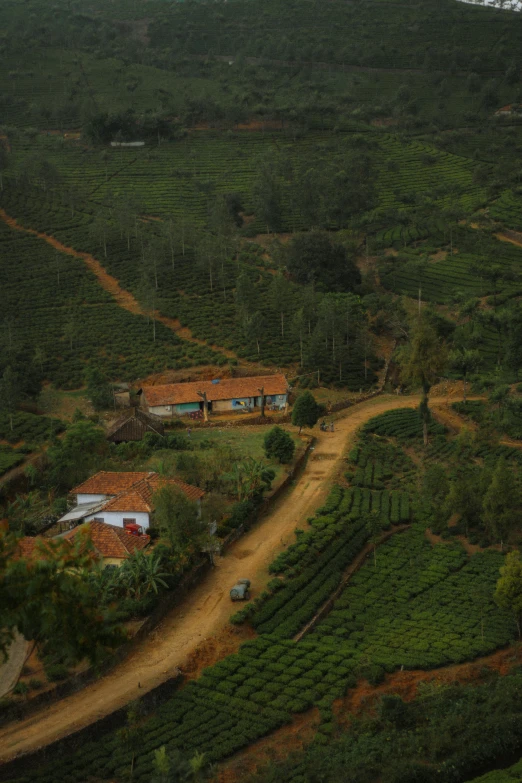 the country road near a farm with a dirt path winding up the hill