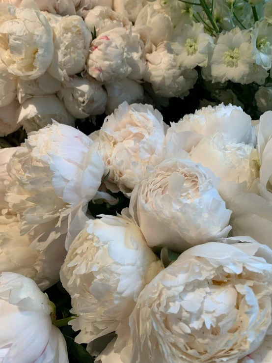 white flowers are blooming in a bouquet