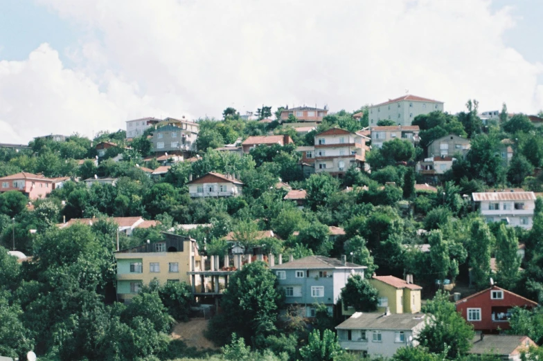 the houses are on the hill among the trees