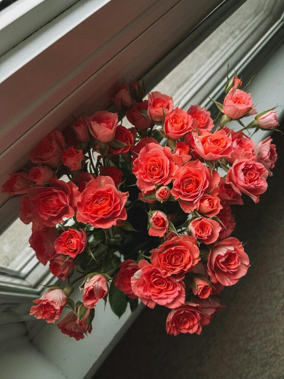 a bouquet of red roses sitting in front of a window