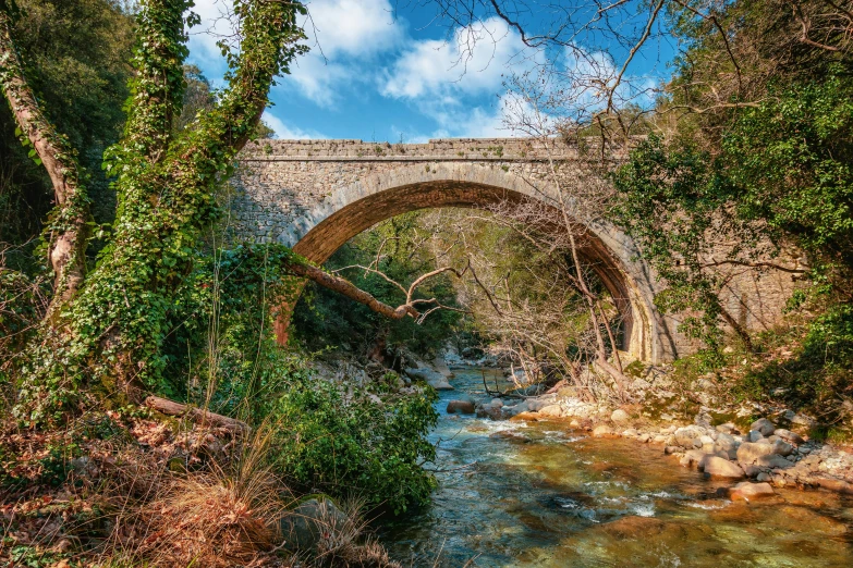 a river running under a stone bridge with a tree lined area