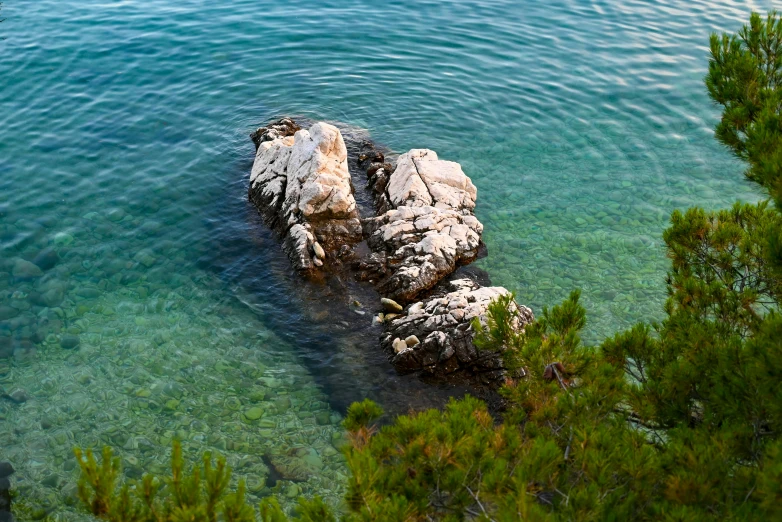 the water is crystal blue and crystal clear