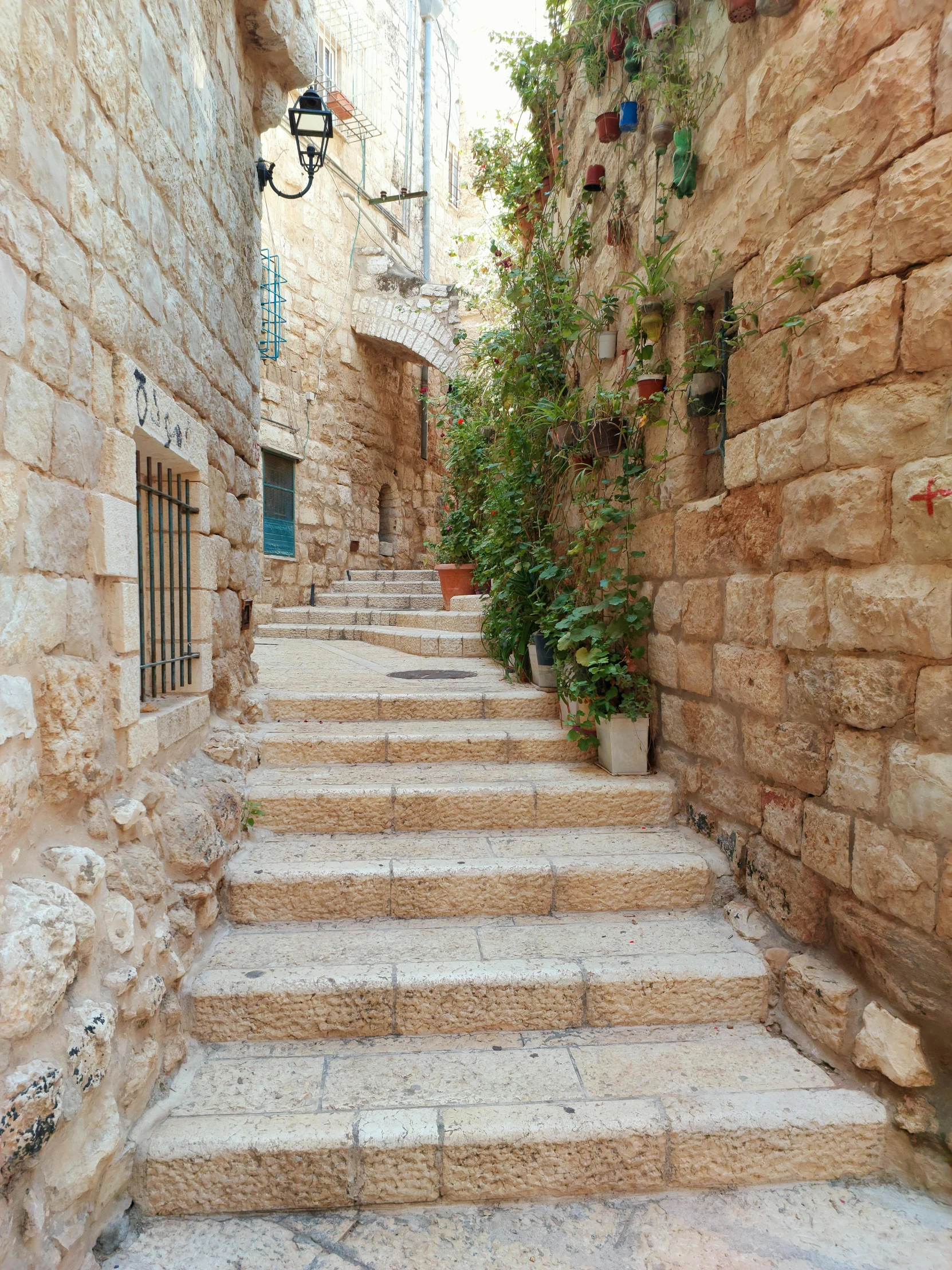 a narrow alley with a bunch of potted plants