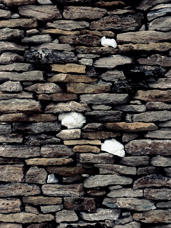 two penguins in the wall looking at each other