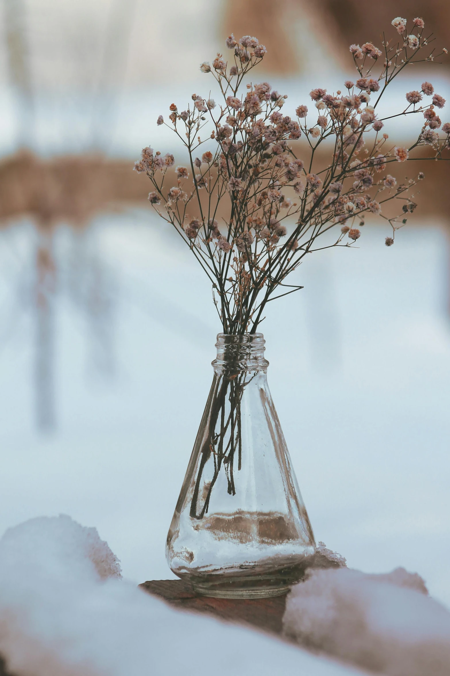 a glass vase filled with flowers on a counter