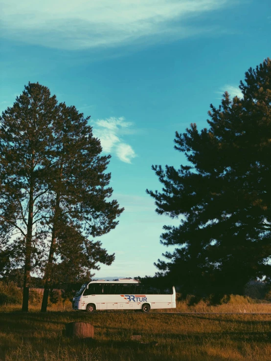 a white bus parked next to two large trees