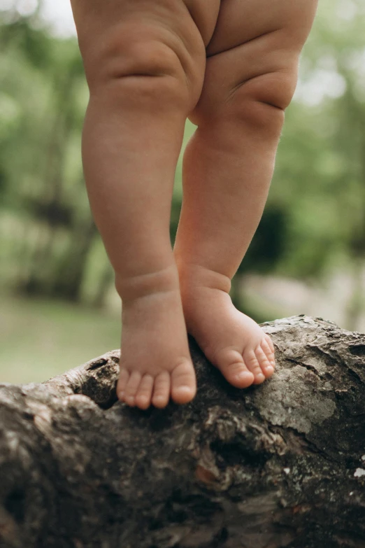 a baby standing on a log with its foot on the tree