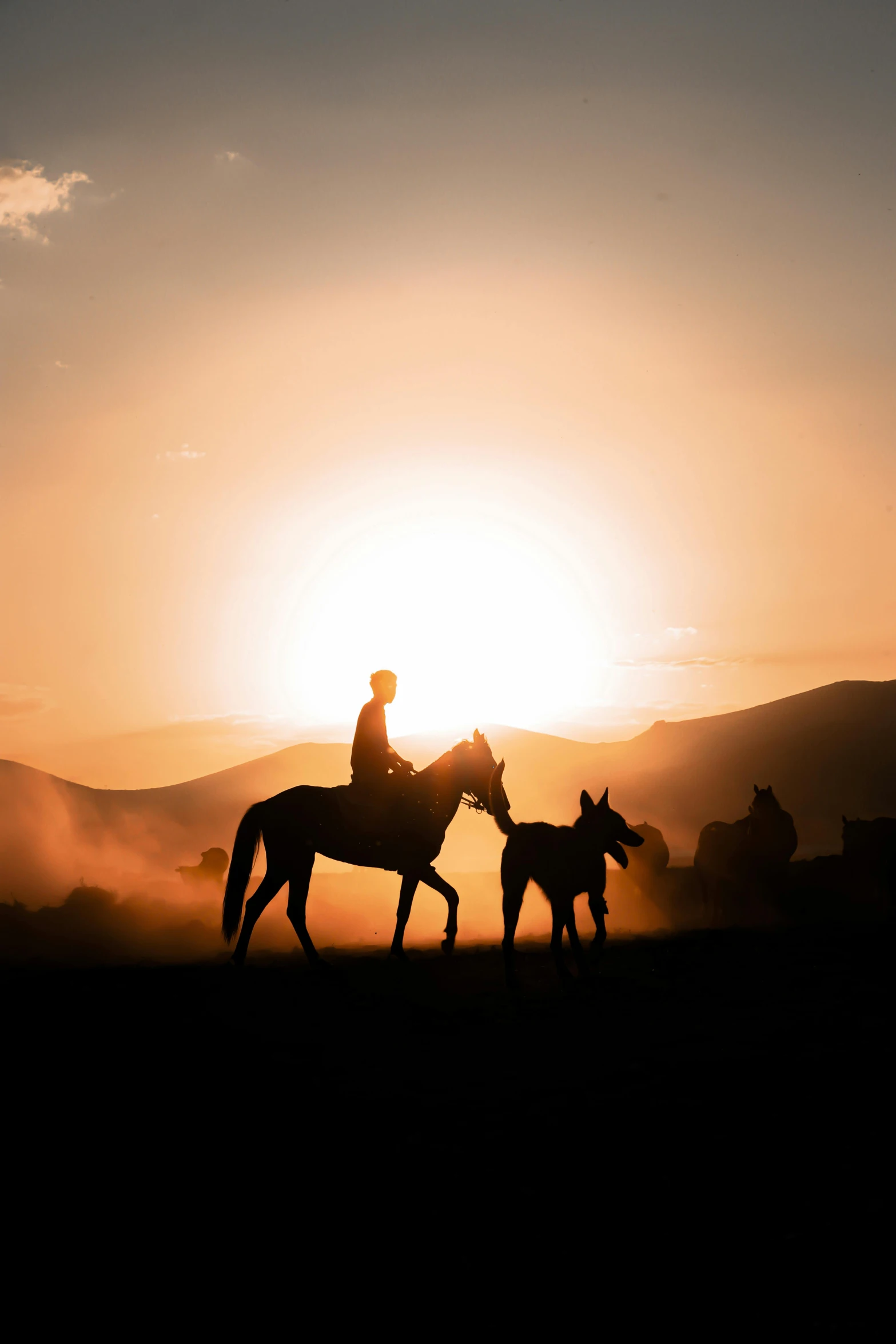 two people riding horses are silhouetted against the sun