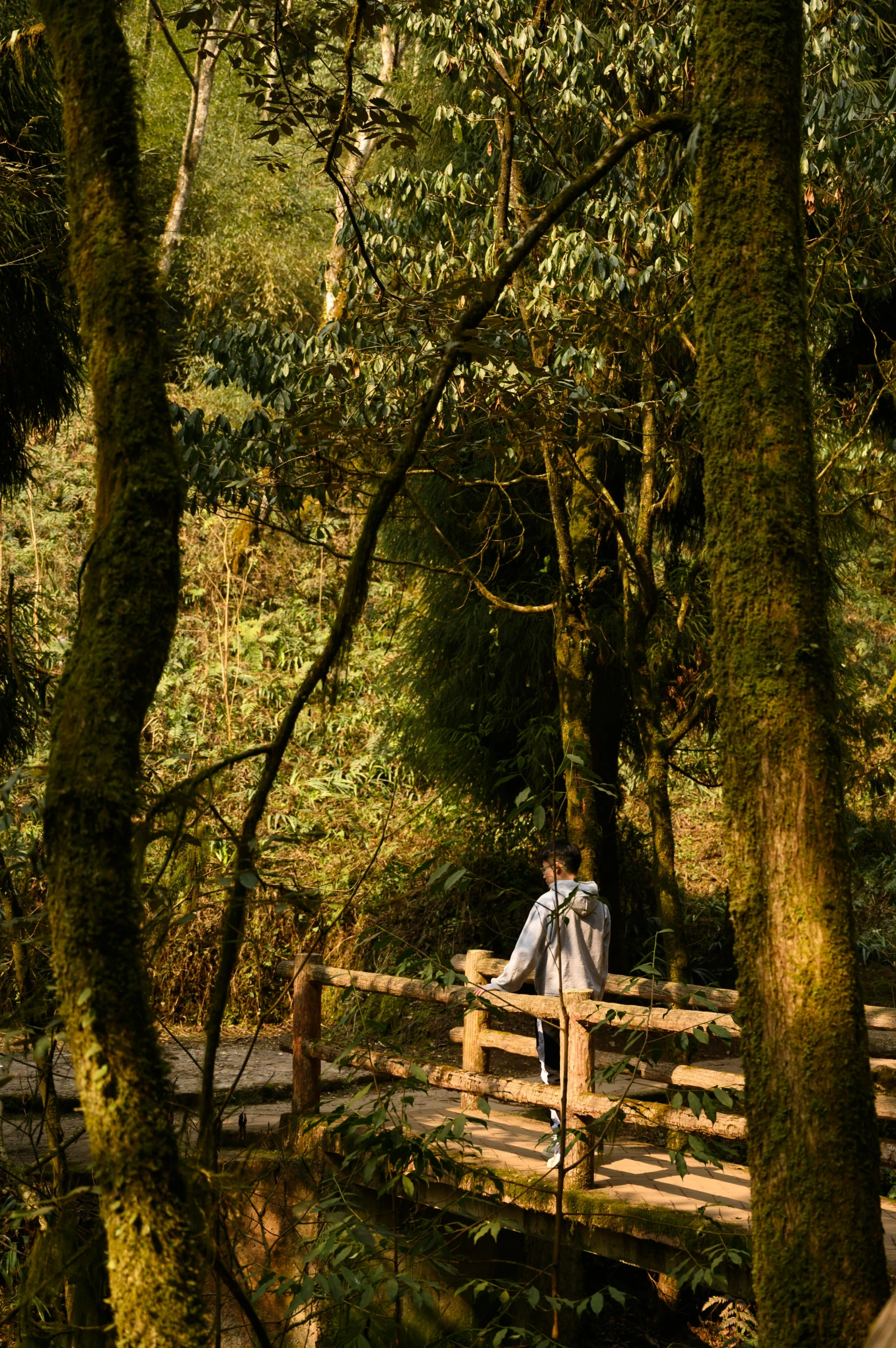 man in jacket and jeans standing on wooden bridge above creek