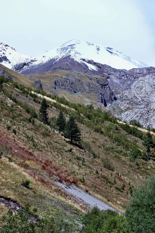 a field with two animals on it and a mountain in the background