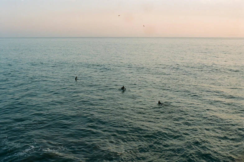 surfers in the ocean with a clear sky