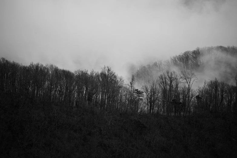 a hazy sky looms over a hillside with trees