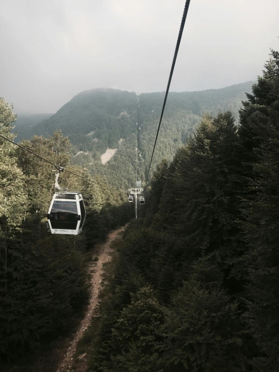 a cable car goes down a wooded path in the hills