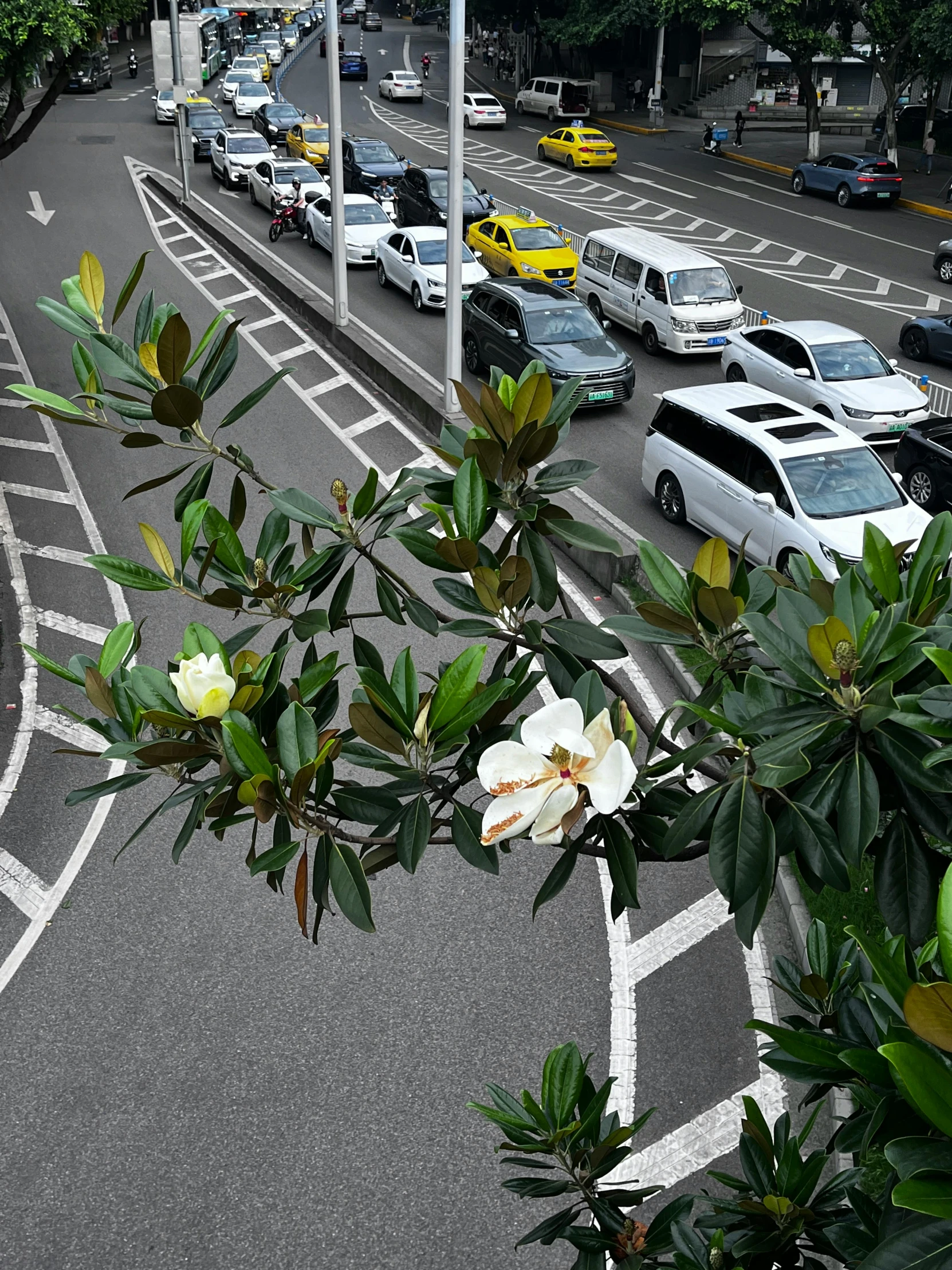 a street filled with lots of traffic and parked vehicles