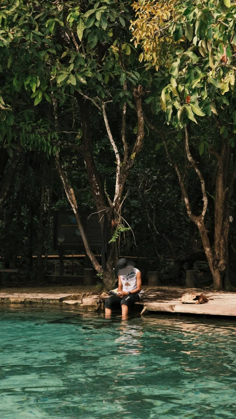 the trees are in the water with a person sitting on the edge