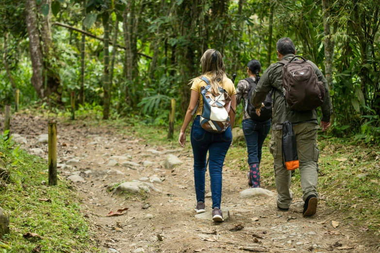 three people walking in the woods with backpacks