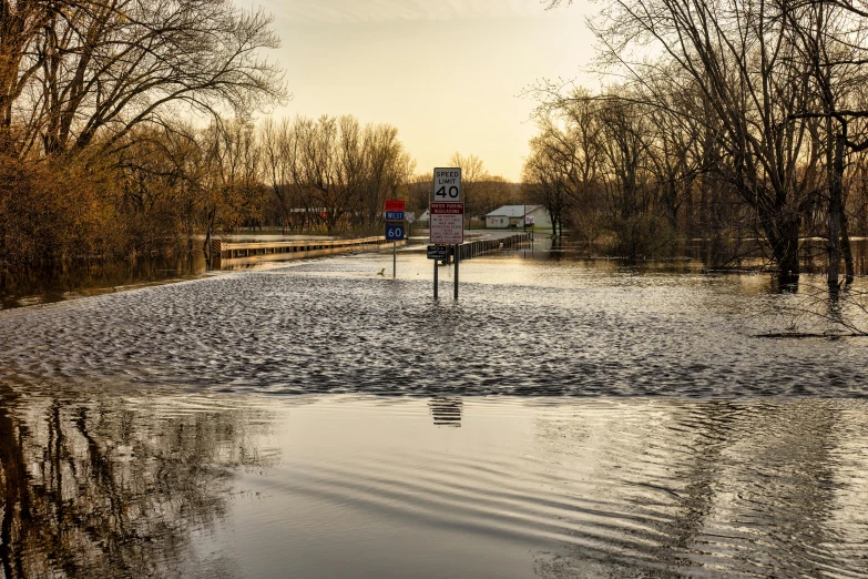 a flooded street with some trees on either side of it