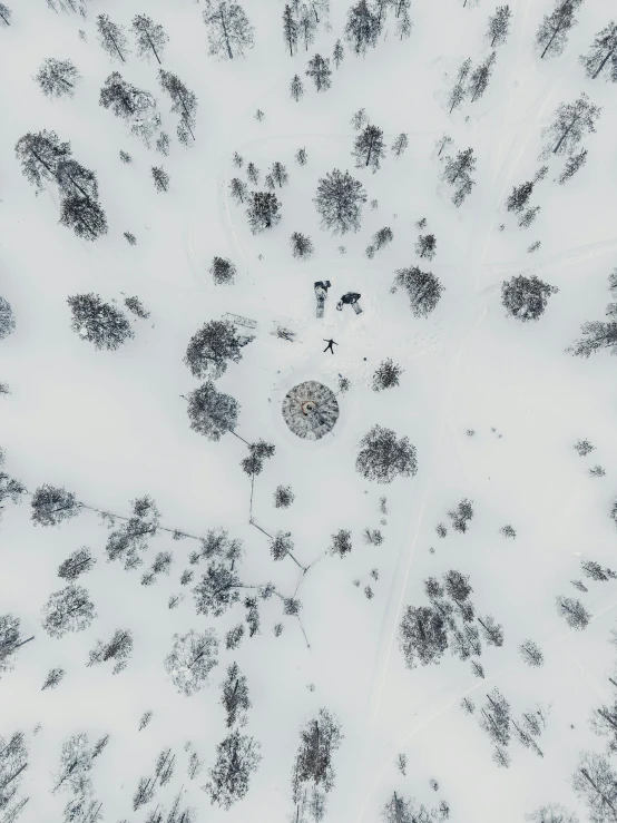 a very cloudy sky filled with lots of trees